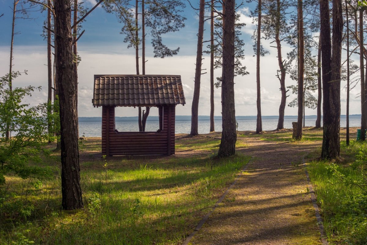 Отдых на нарочи в домиках фото