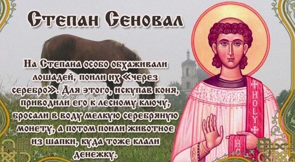 Фото из открытого источника