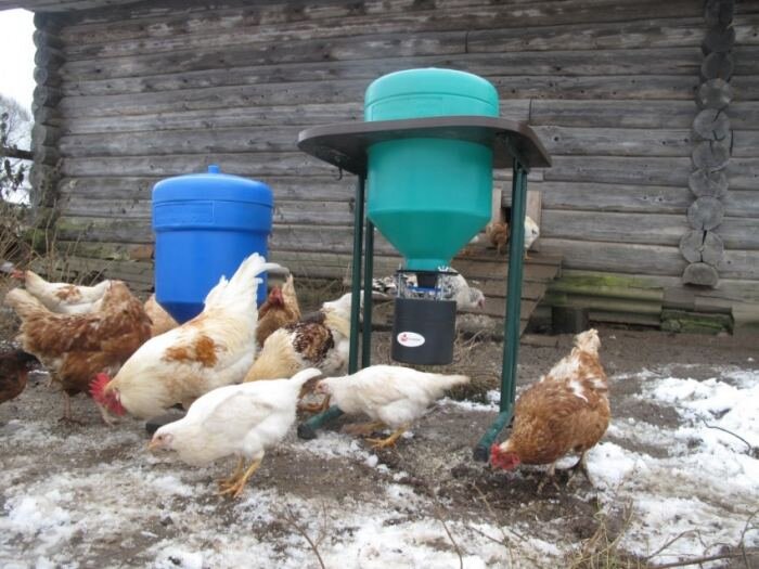 Все фото взяты из интернета в вольном доступе.