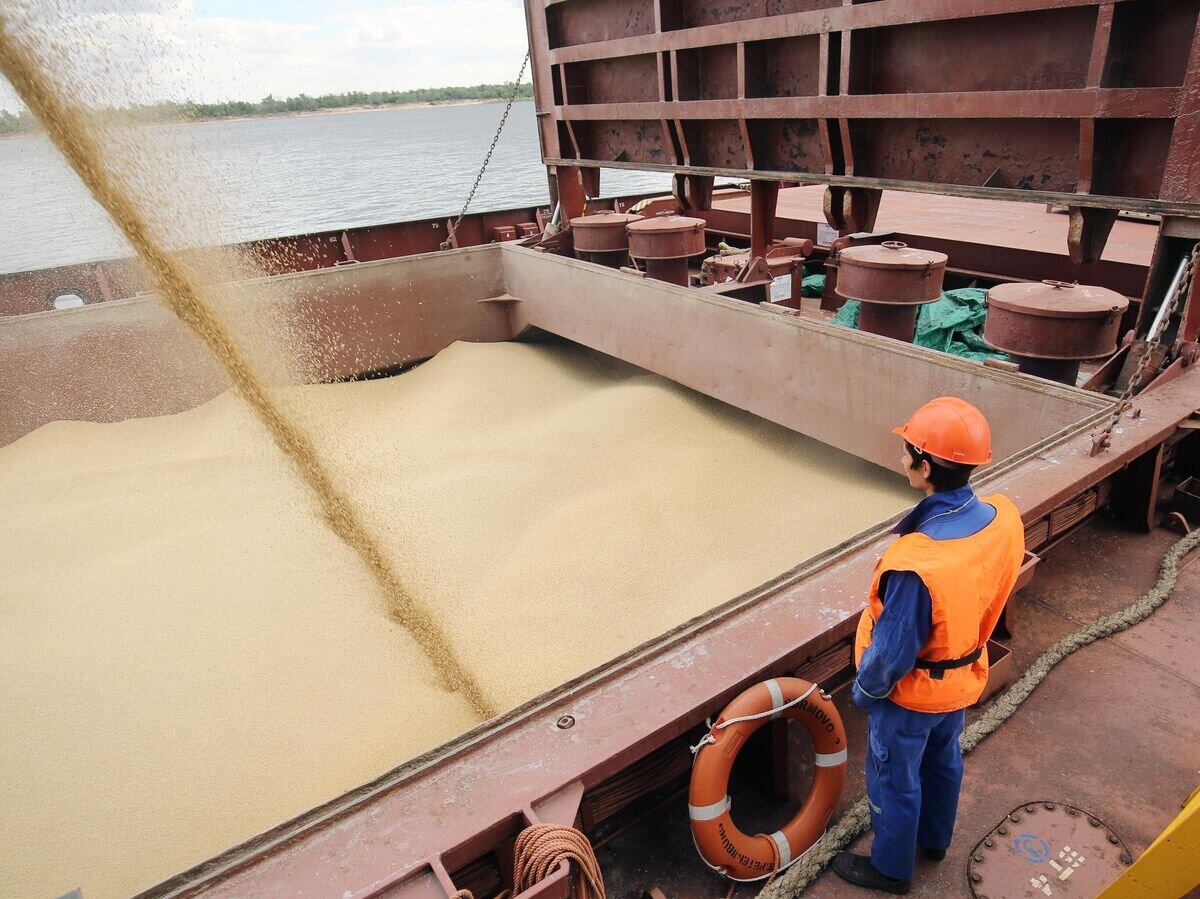    Отгрузка зерна на экспорт© РИА Новости / Кирилл Брага