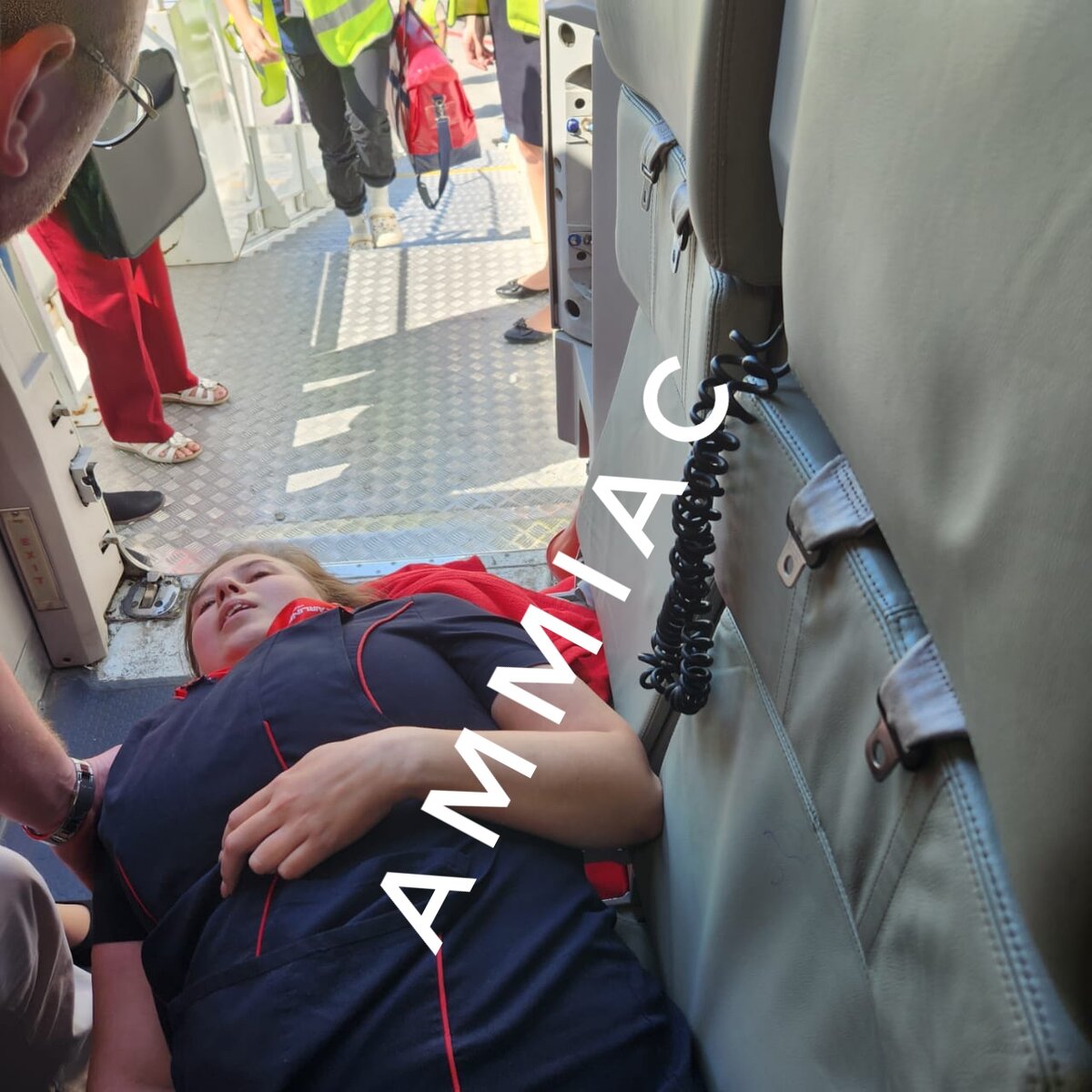 Спасенная стюардесса 