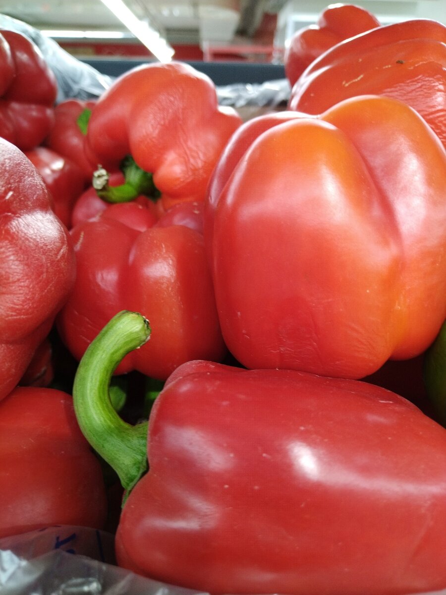 Фото: Рамия Гарифуллина