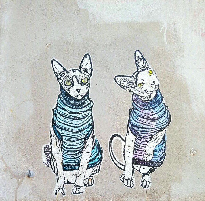 Residenza - это адрес места регистрации человека в Италии (прописка, официальное место жительства). Domicilio - это адрес фактического пребывания человека в Италии (жилье, где проводится наибольшая часть времени). Соответственно, у людей существует возможность иметь место фактического пребывания, не совпадающее с их официальным местом жительства. При заполнении разных официальных анкет или заявлений требуется указать и адрес Residenza, и адрес Domicilio. Если адреса разные, то официальная почта по этим анкетам и заявкам будет поступать на адрес Domicilio. Иностранные студенты до того момента, когда получат Residenza (прописку) в Италии должны указывать в качестве Residenza свой адрес прописки в РФ, а в качестве Domicilio - свой адрес проживания в Италии.