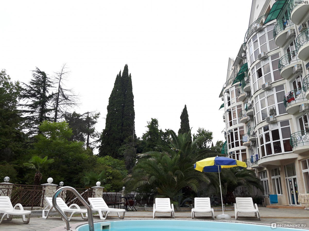 Пальма хоста. Сочи золотая пальма 2 отель. Золотая пальма 2 сочи. Золотая пальма сочи отель. Золотая пальма сочи отель.