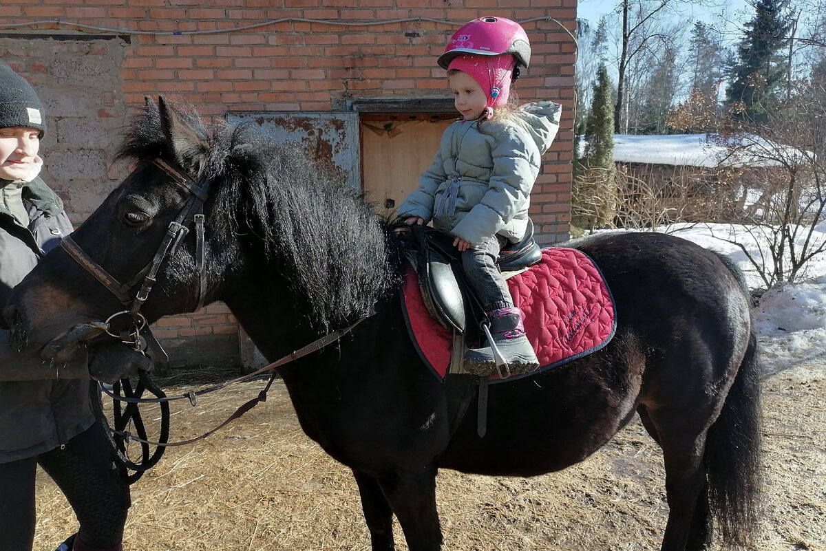 Иппотерапия