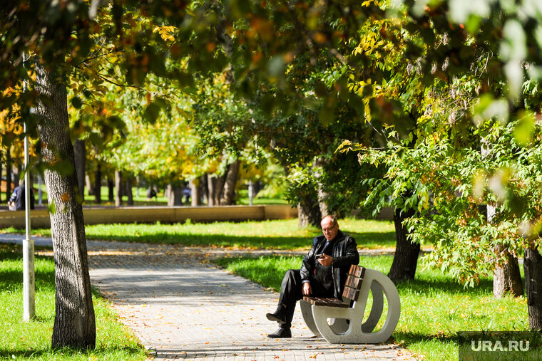    В регионе температура воздуха днем 23 и 24 сентября составит 23 градуса