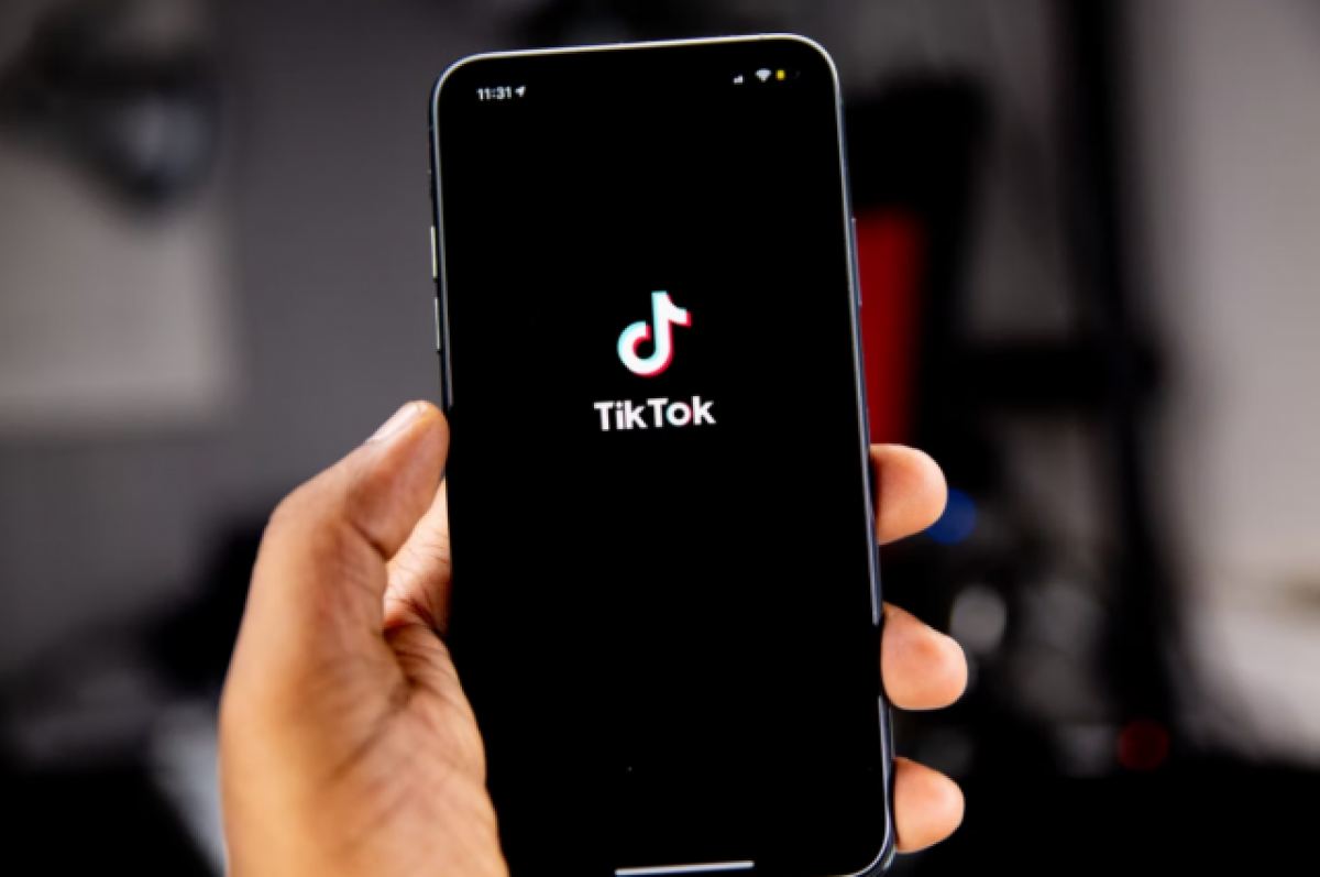    Пользователи TikTok отмахиваются от попрошайничающего Зеленского