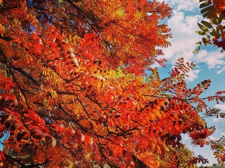   МК в Бурятии