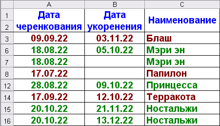 Таблица зимующих в квартире черенков роз по состоянию на 21 декабря