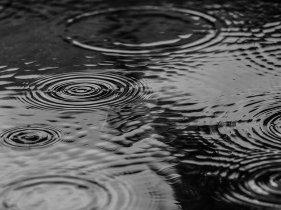     Фото: Pixabay