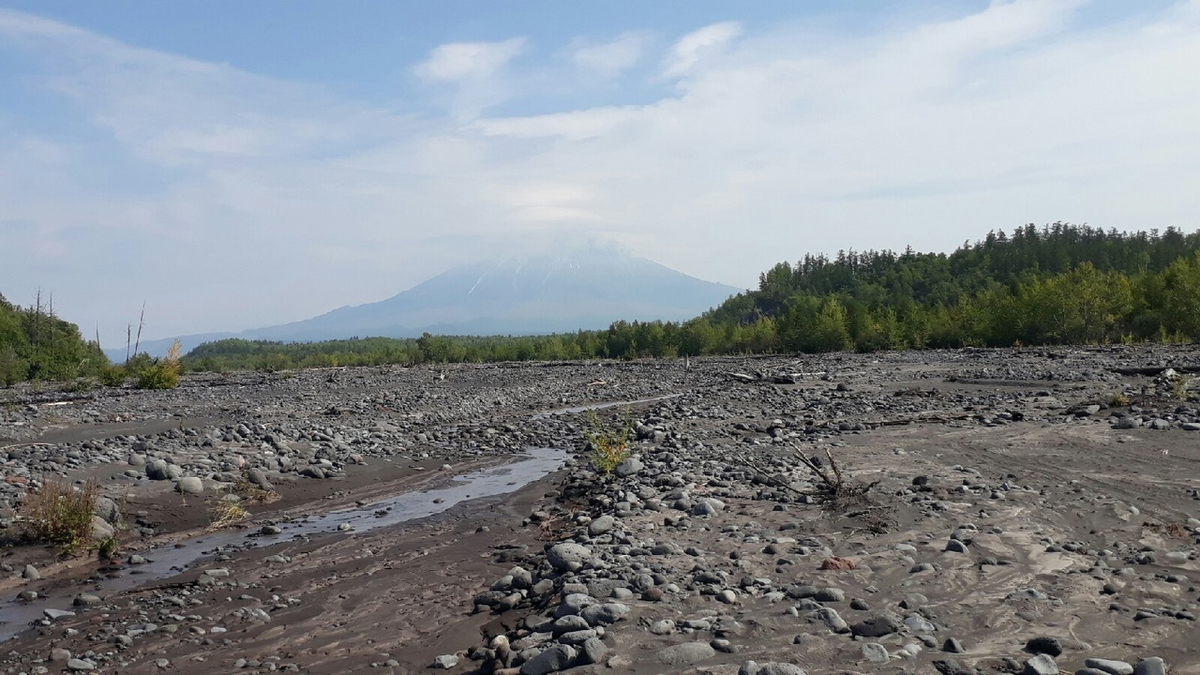 река Студёная - мутный серый поток со склонов Толбачика