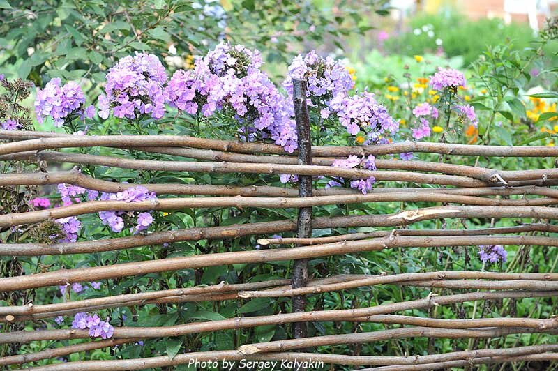 Изгородь из веток