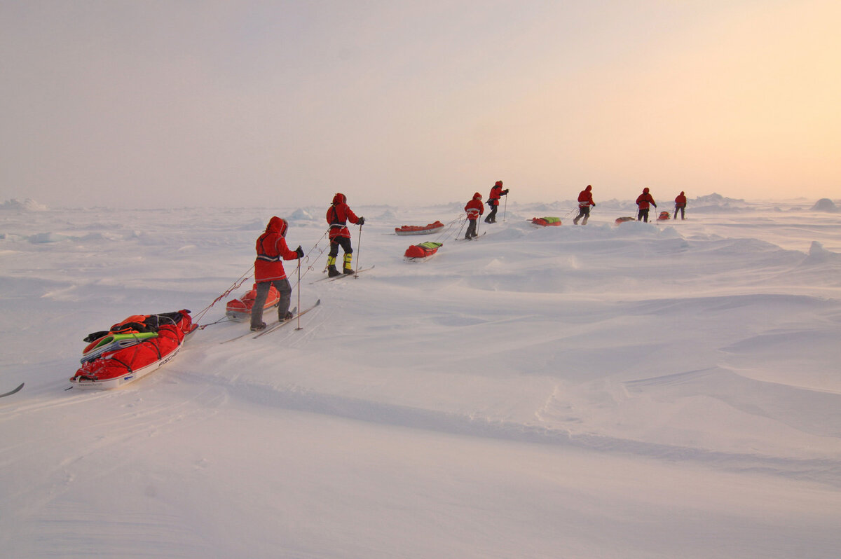 Малица ненцев. Северное полярное сияние. Рисование «белый медведь и северное сияние» лыкова. Белый медведь ввф. В антарктиде нет ночи.