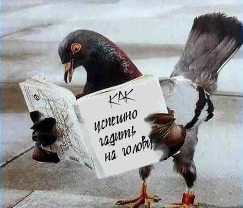 Голубиная Библия.
