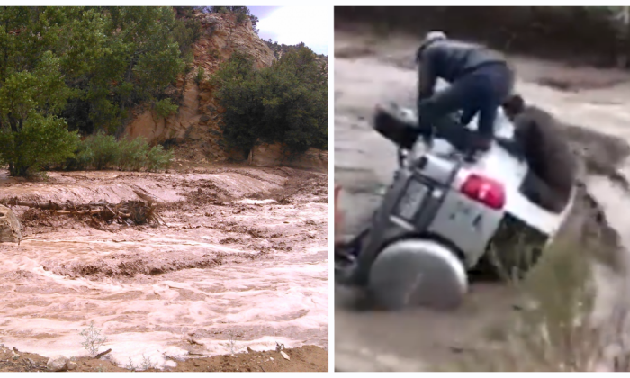  Фото: коллаж Epoch Times 