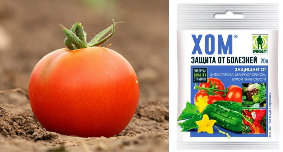 Оксихом фунгицид. Хом препарат для обработки растений. Фунгицид "хом", 20 г. Средство хом для дерева. Хом грин бэлт защита от болезней 20г.