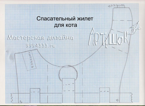 Спасательный жилет для кота