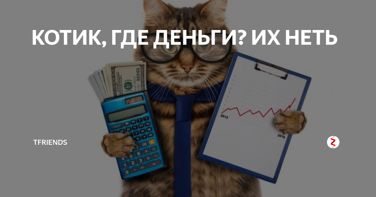 Где моя техника. Где деньги котик. Открытка где деньги. Денег нет котик. Где деньги