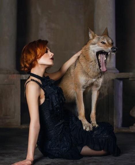 Мэрилин Керро с волком (фото из интернет)