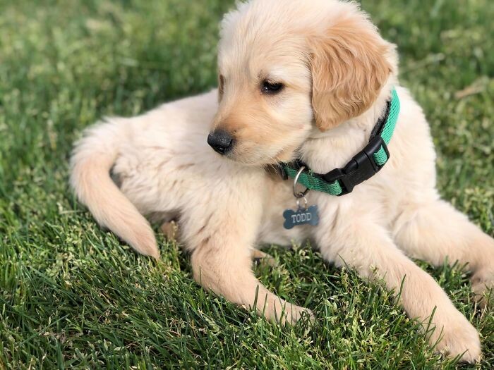 фото: majesticbunny.com