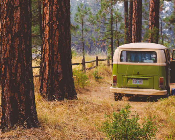 Фото - бесплатный фотобанк Unsplash.com