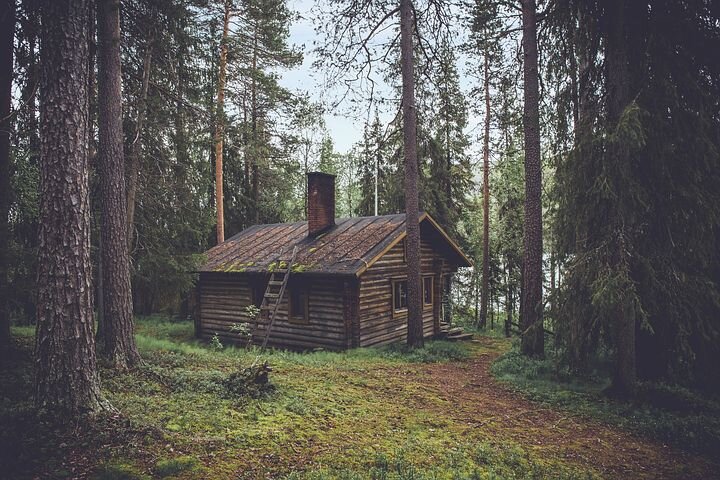 Источник фото: pixabay.com