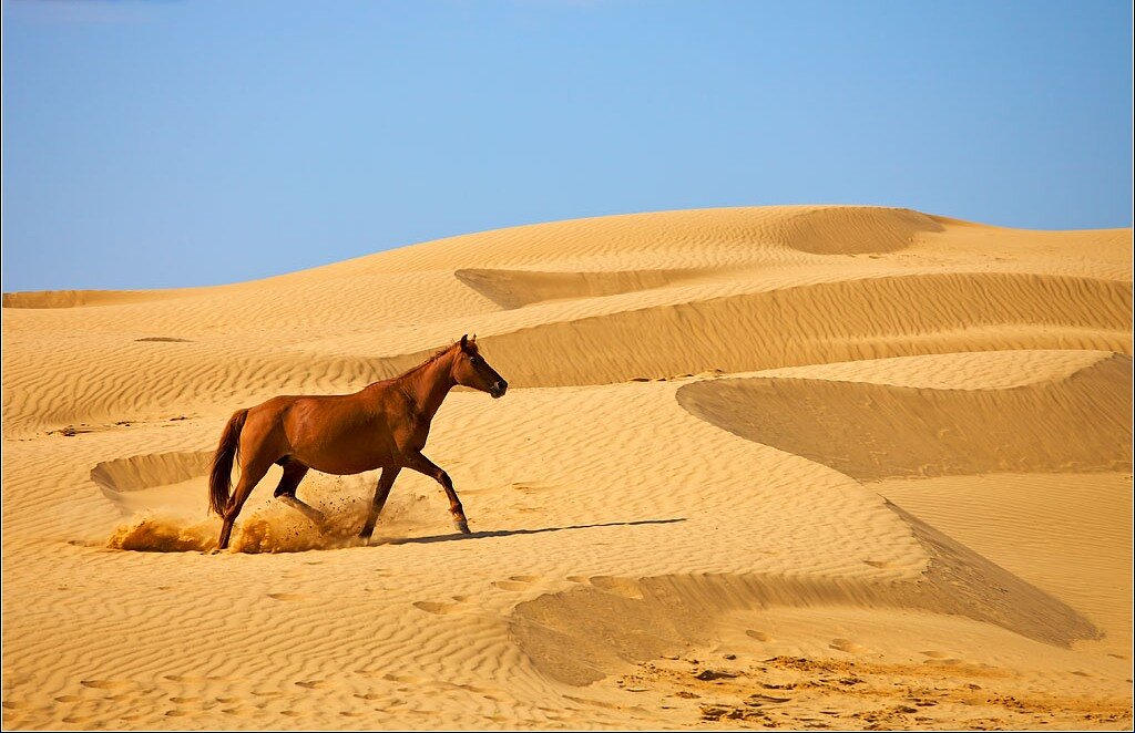 Если вы по прежнему расслабленны, то можно начинать. Закрыв глаза, представьте силой воображения, что вокруг вас огромная пустыня. Она должна быть настолько большая, насколько ваш  мозг способен её сгенерировать. В этой пустыне стоит куб.