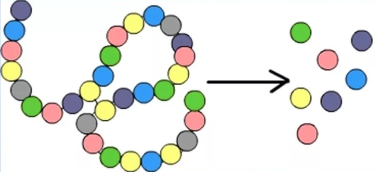 Катаболизм