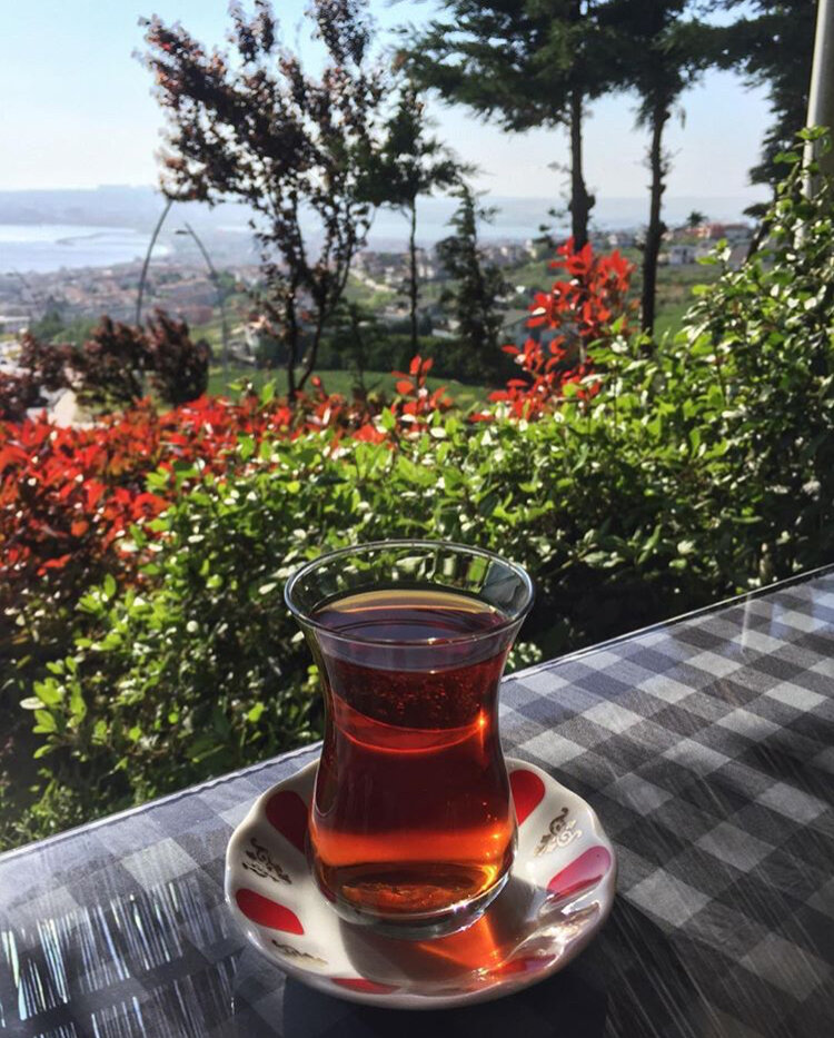 МОГУТ ЛИ ВАС УКРАСТЬ И ПРОДАТЬ В РАБСТВО В ТУРЦИИ❓ ⠀
Очень часто слышу о такой опасности как «торговля людьми»-в зомбо-СМИ, туристических опасениях и даже сериалах. «Не ходите девки в Турцию гулять!»-говорят повсюду. Ну конечно же не ходите! Крым всяко побезопаснее. 😜
⠀
К слову, я не работаю гидом и с туризмом вообще не связана. Поэтому мне не важно «приедут сюда туристы или испугаются». Это не мой хлеб, не мои трепетные рассказы о «сказочной Турции». Я просто хочу, чтобы вы знали правду.
⠀
Если кто-то из вас смотрит сериал «Восток-Запад 2» 2018 (прошу заметить!) года, то наверняка наблюдает там историю двух студенток. Они типа ехали работать в Стамбул (!) аниматорами, а попали в бордель. И вот приходят там якобы к ним арабские шейхи, и носят те девушки восточные костюмы, и сбежать всё хотят, но не получается... Так вот знайте, что это бред. Создателям сериала следовало хоть немного узнать о Турции. Не бывает здесь ни отельной анимации, ни шейхов, ни восточных костюмов.
⠀
...Ещё случай помню-года 3 назад одна дэвушка объявила на весь фейсбук, что её скинули 😱 с пятого этажа. В Стамбуле. Что полиция никак не отреагировала и все ей помочь должны непременно-срочно... Тоже бред. А иначе-на кой чёрт она попёрлась в тот дом? А если и скинули-то почему же не обратилась в консульство? И полиция... В стране, где за слово «дурак» платят баснословные штрафы-не отреагировала! Удивительно, не находите?
⠀
В Турции могут украсть и продать ровно с той же вероятностью, что и в любой стране СНГ. Остальное-дело рук вас самих.
⠀
Я за 5 лет местной жизни до сих пор так  и не поняла-ЧТО же такого нужно делать и ГДЕ шататься, чтобы тебя украли... Голова должна быть на плечах-вот и всё.
⠀
И ещё. Одна девушка спросила вчера «Ирина! Мне 18 лет, я общаюсь с турком по интернету, хочу переехать к нему. Не опасно ли?» Для вас-опасно. К переезду нужно подходить с головой. На меня не смотрите-я переехала сюда (пусть и в 18), но уже махровой всезнайкой. У меня каждый шаг был просчитан, я шла к Турции много лет.
⠀
Прилетайте, загорайте, гуляйте. Но не доверяйте свою жизнь никому кроме самой себя.
⠀
P.S: Чувствую себя как Малахов 😅