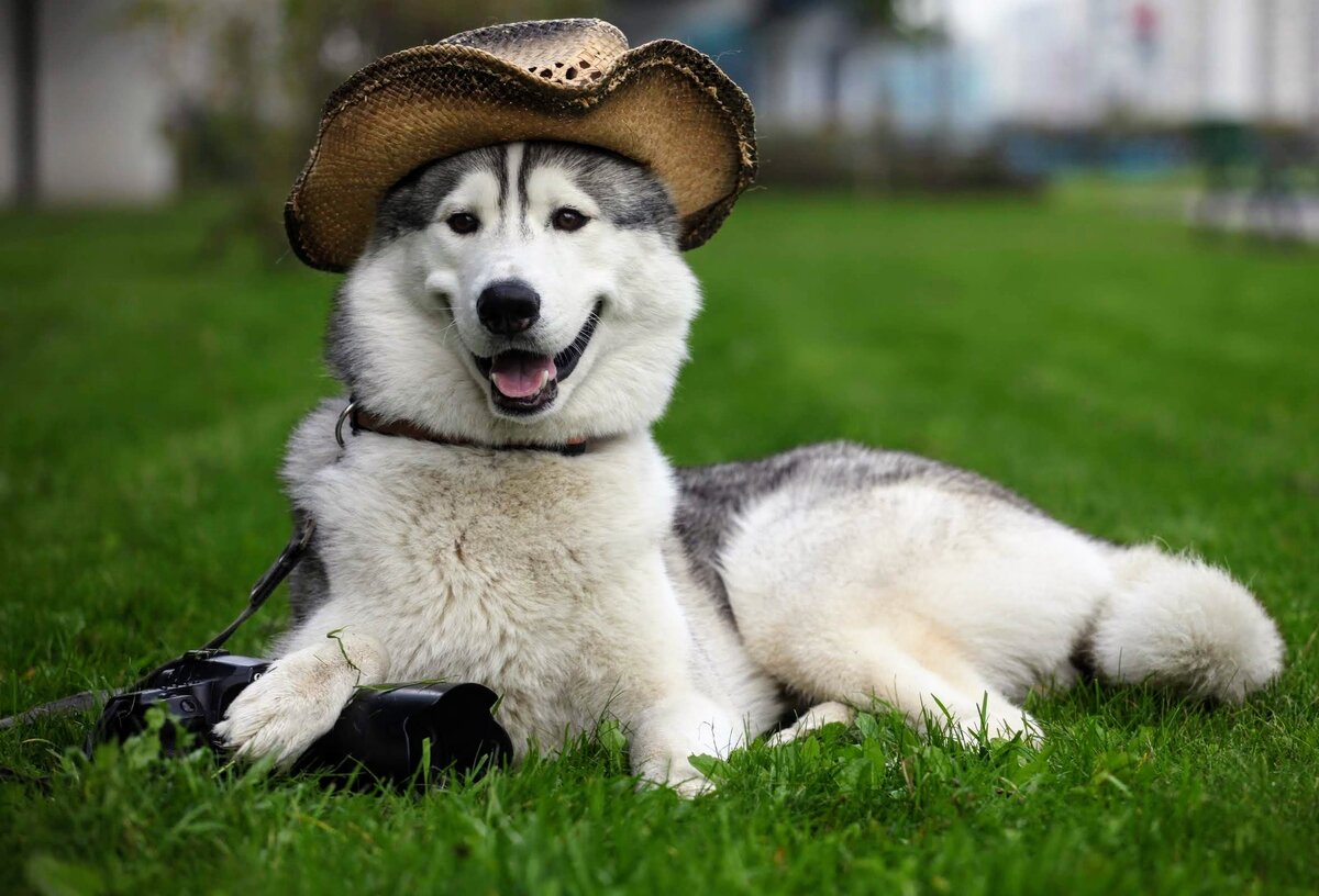 Картинка с сайта yukle.mobi