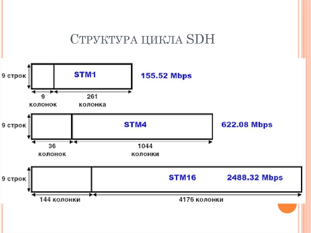 структура цикла.