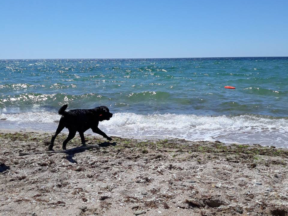 За колечком в море - любимое занятие Лекси