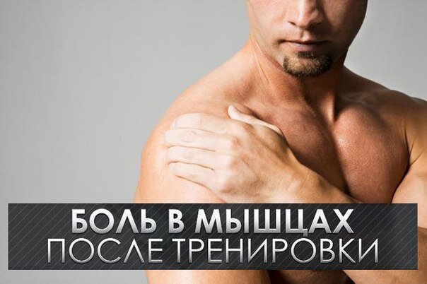 Фото из открытого источника