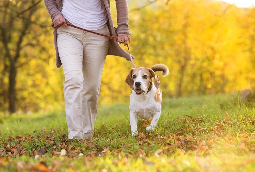 Источник фото: https://www.rocketlawyer.com/blog/wp-content/uploads/2015/11/ThinkstockPhotos-460529239-c.jpg