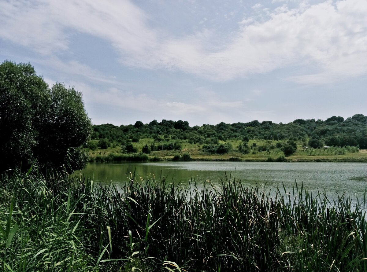 Елагин пруд