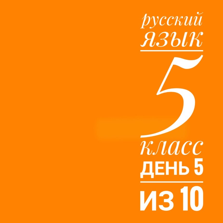 5 класс. Занятие 5 из 10 | Суднева: уроки русского языка | Дзен