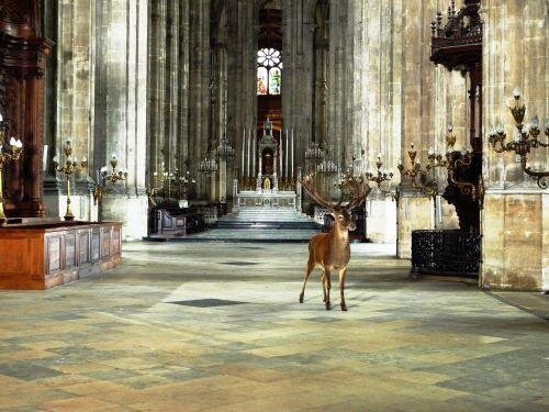 Старый бог в гостях у новых богов. Как вам?