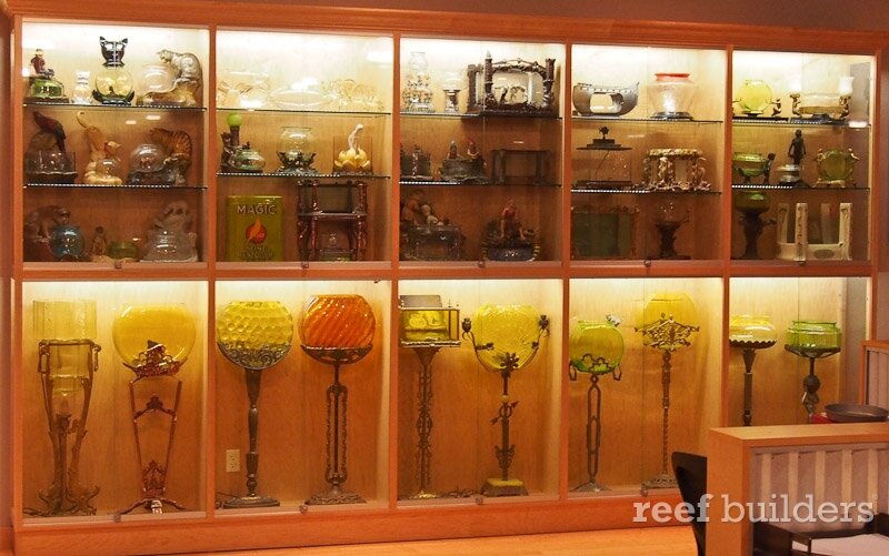 Стена в здании Zoo Med Laboratories, США.