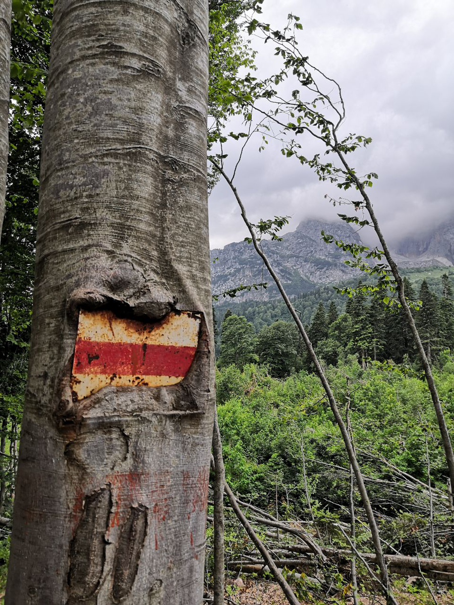 Примерно вот таких знаков.