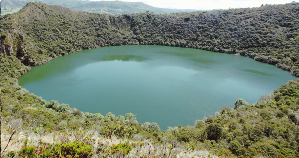 Фото с Яндекса
