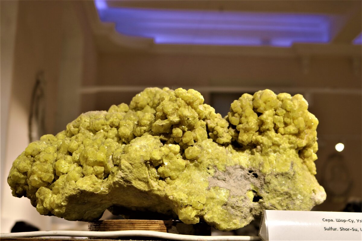 Сера. Узбекистан. Коллекция музея.