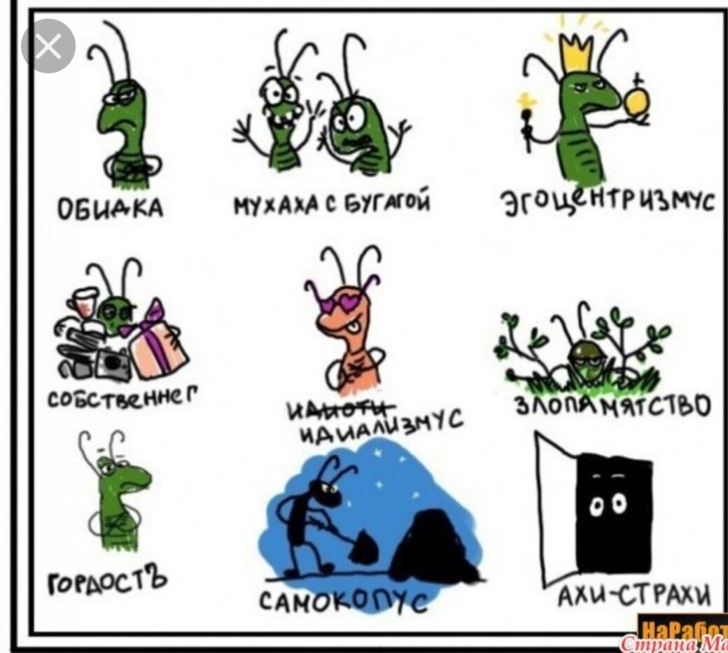 Тараканы они такие, устраивают танцы всегда и везде) 