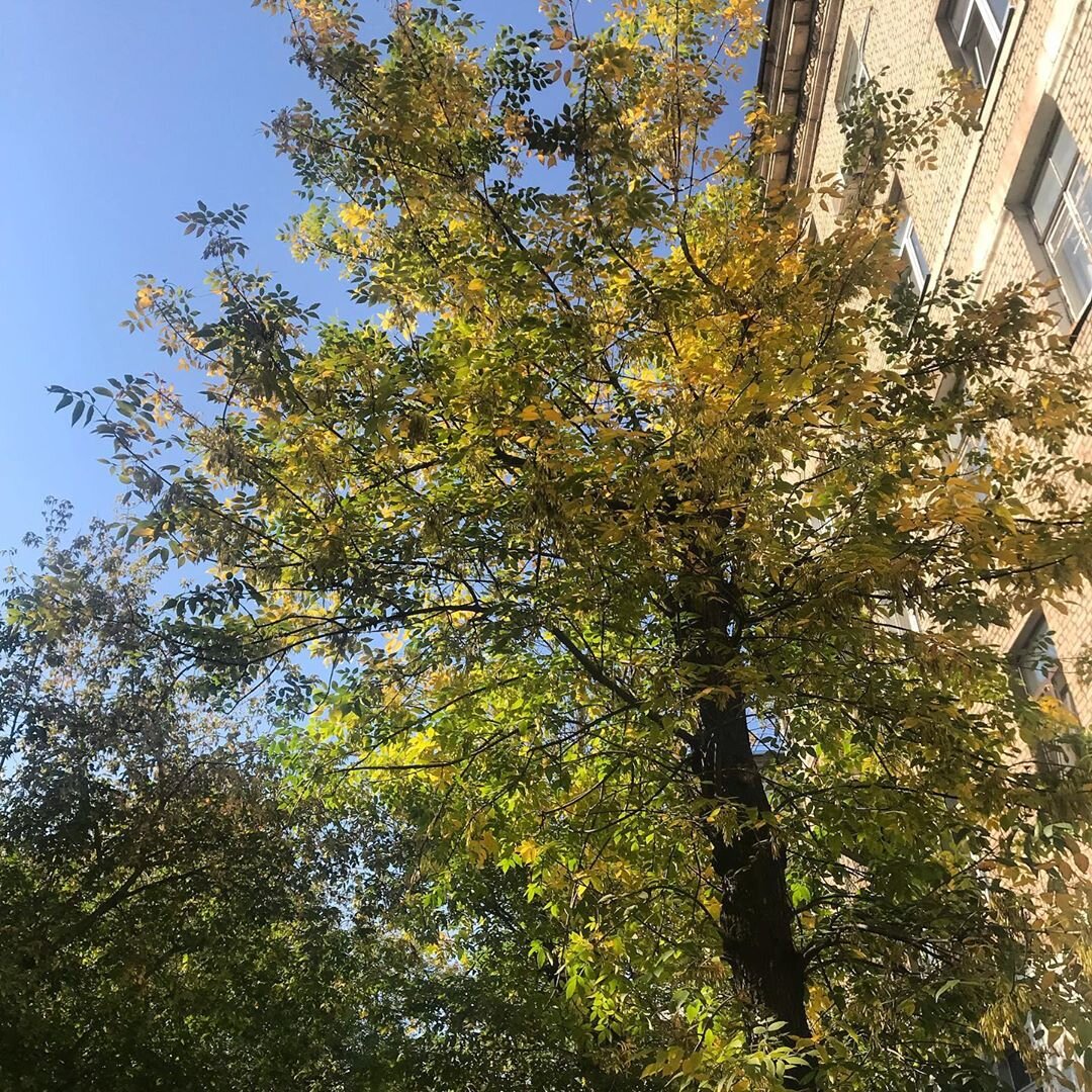 Фото из домашнего архива. Лето 2019