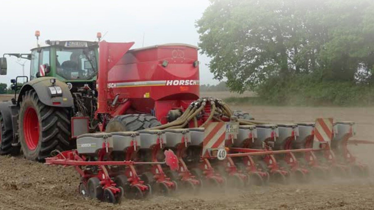 Фото:журнал «НСХ»Фотография носит иллюстративный характер