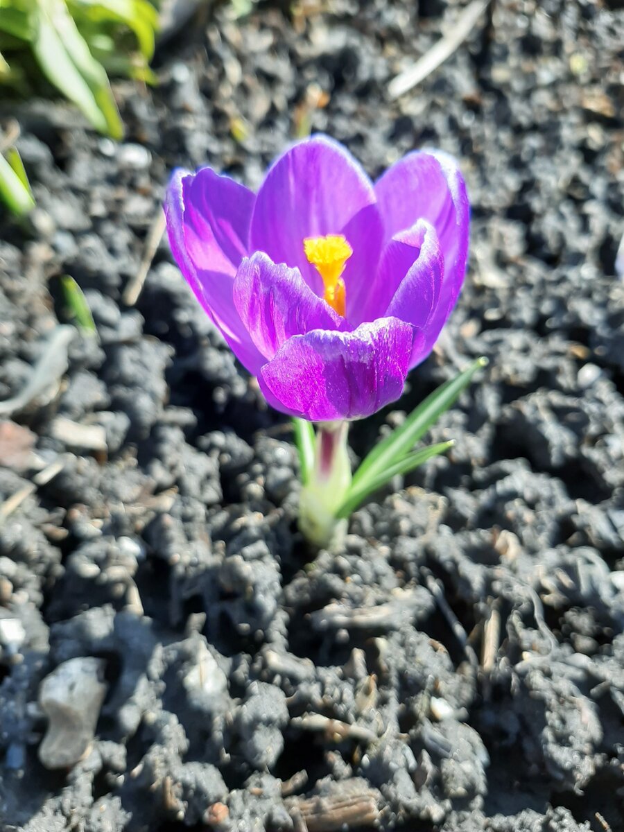 Фото из личного архива