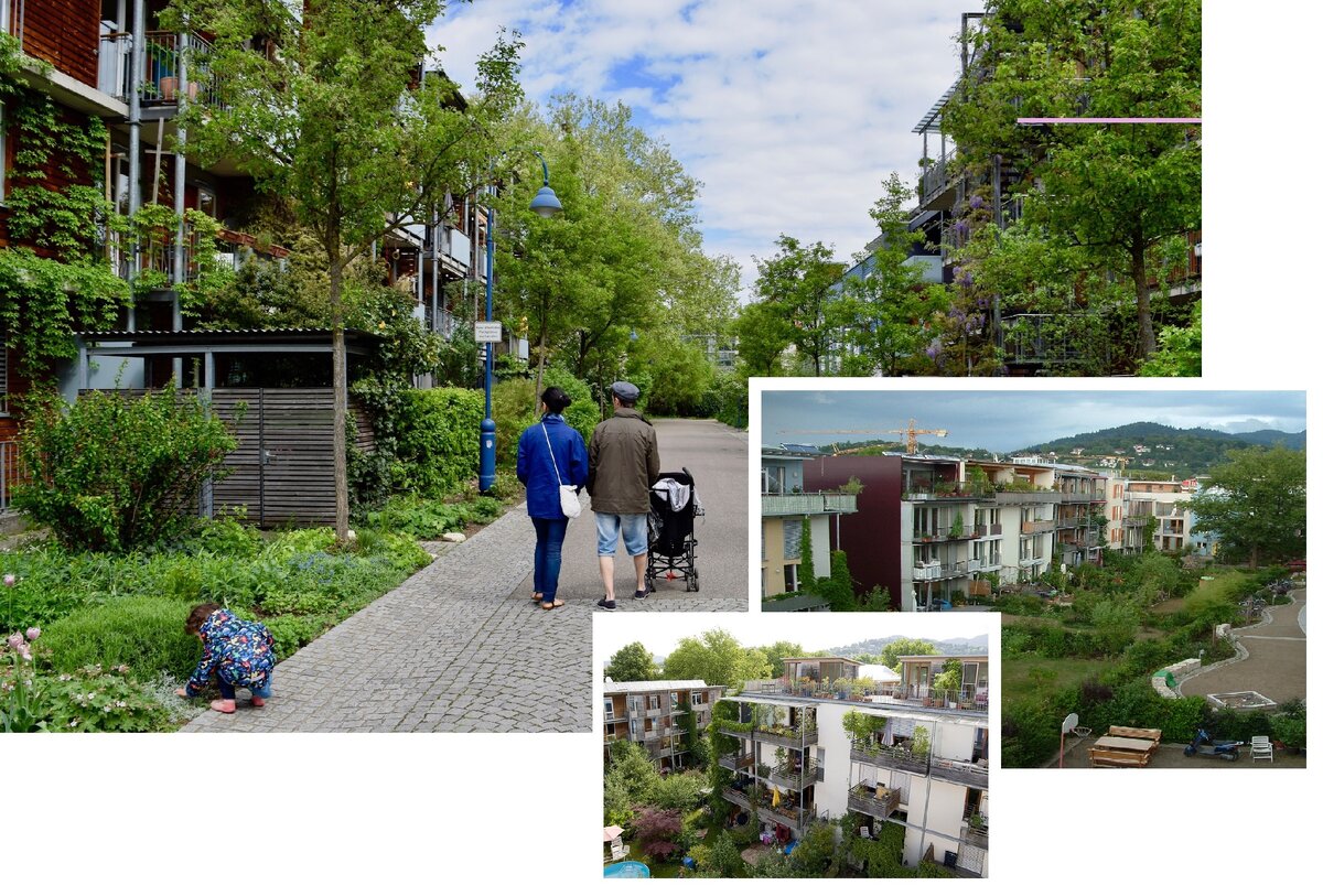 Целый район на принципах устойчивого развития в одном из немецких городов.