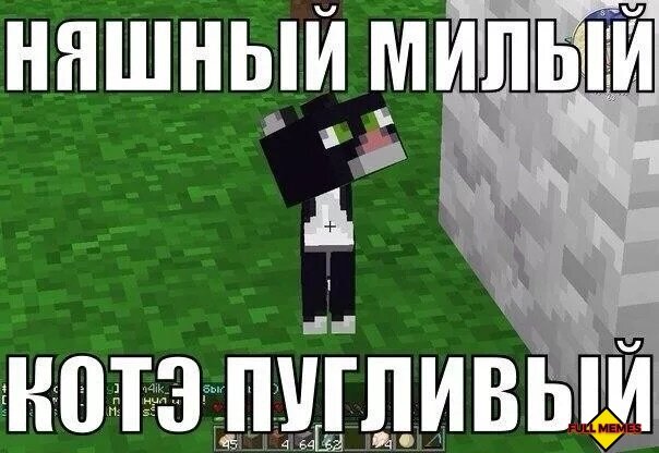 Котейка