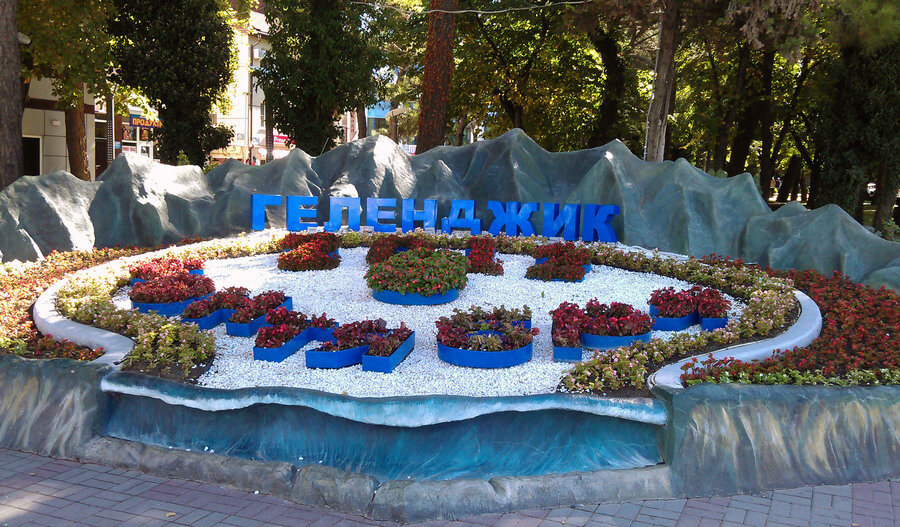 Так раньше выглядела клумба. 6 сентября 2016 года