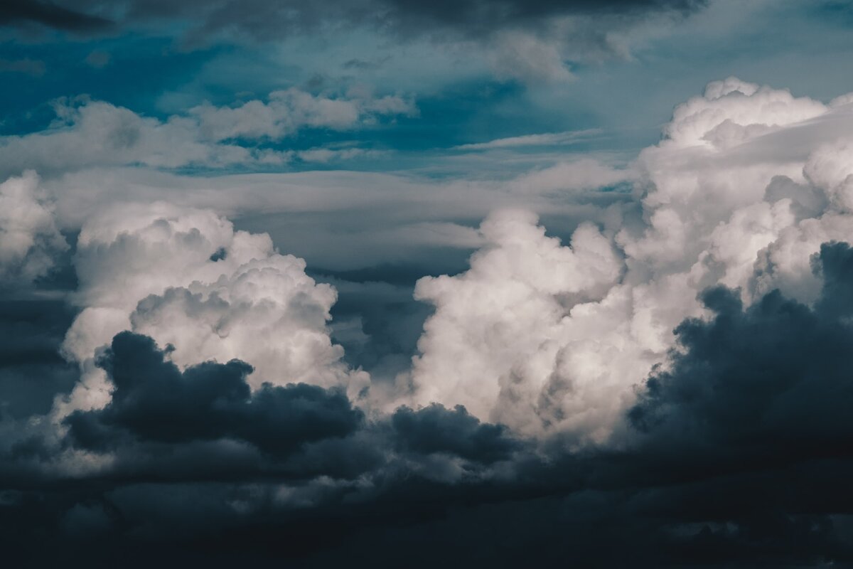 Фото: Unsplash@codyrs