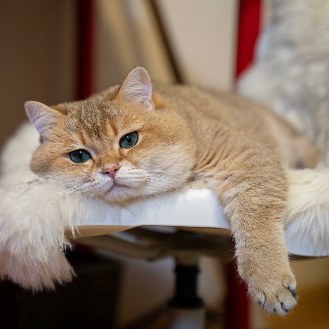 Многие знания умножают печали...